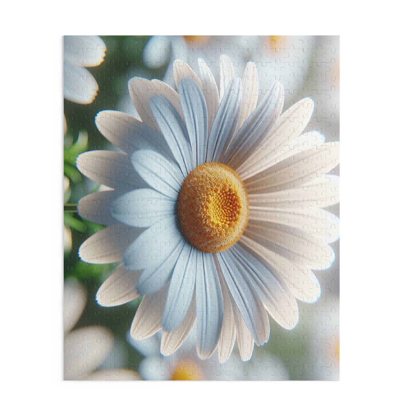 Daisy Close-Up Puzzle — Floral Jigsaw (120/252/500 Piece)