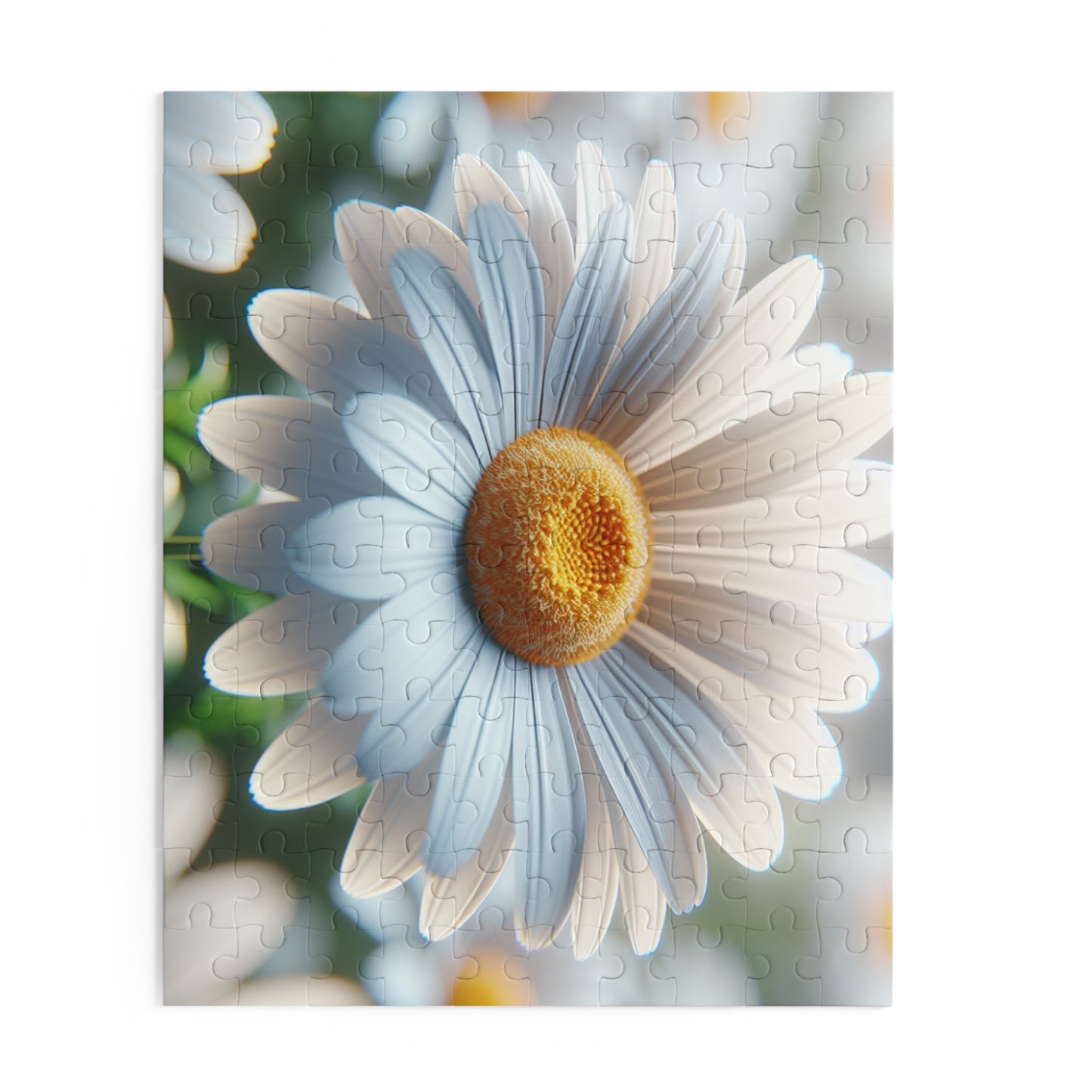 Daisy Close-Up Puzzle — Floral Jigsaw (120/252/500 Piece)