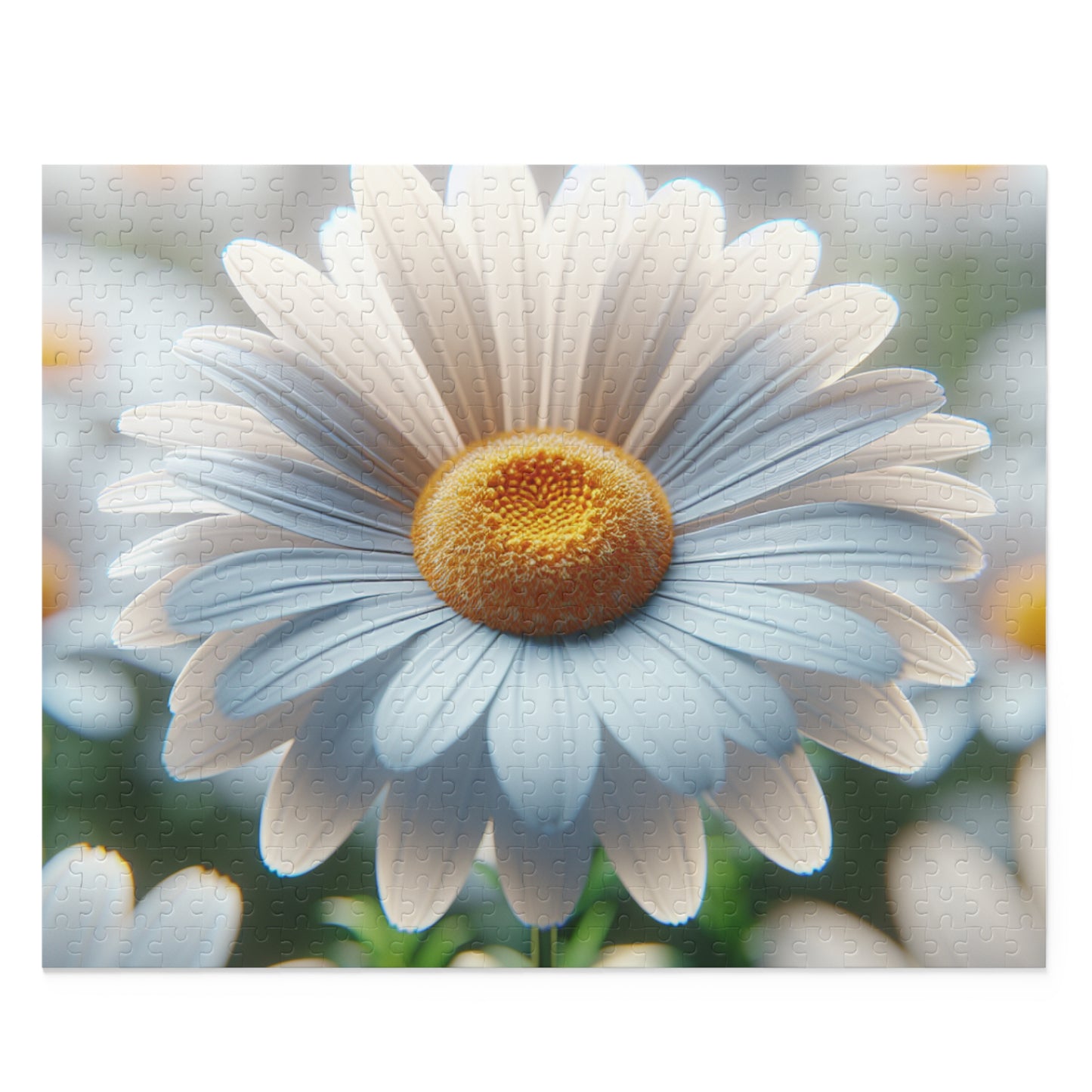 Daisy Close-Up Puzzle — Floral Jigsaw (120/252/500 Piece)