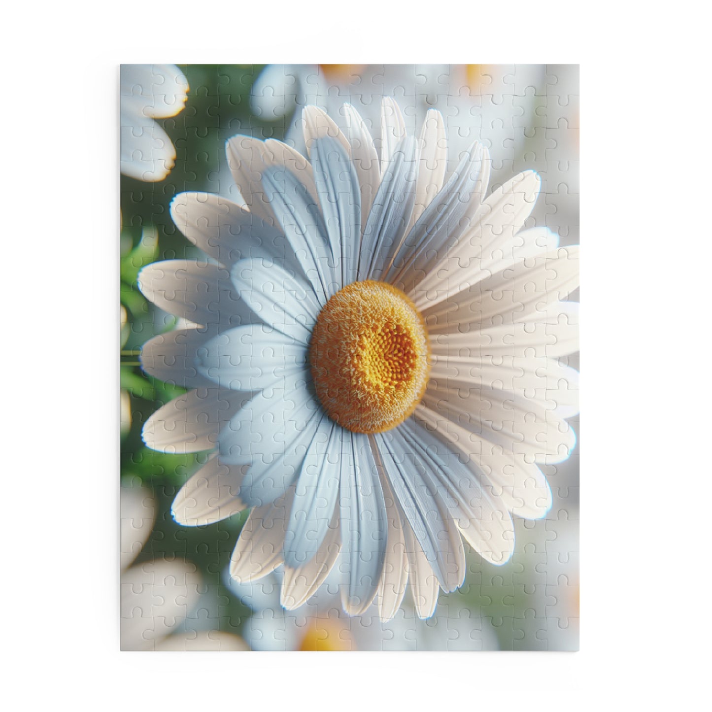 Daisy Close-Up Puzzle — Floral Jigsaw (120/252/500 Piece)